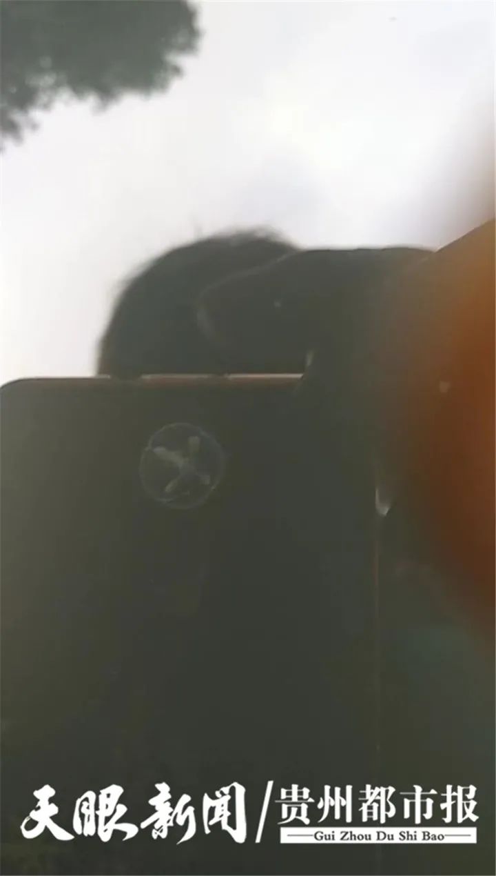 DƬ